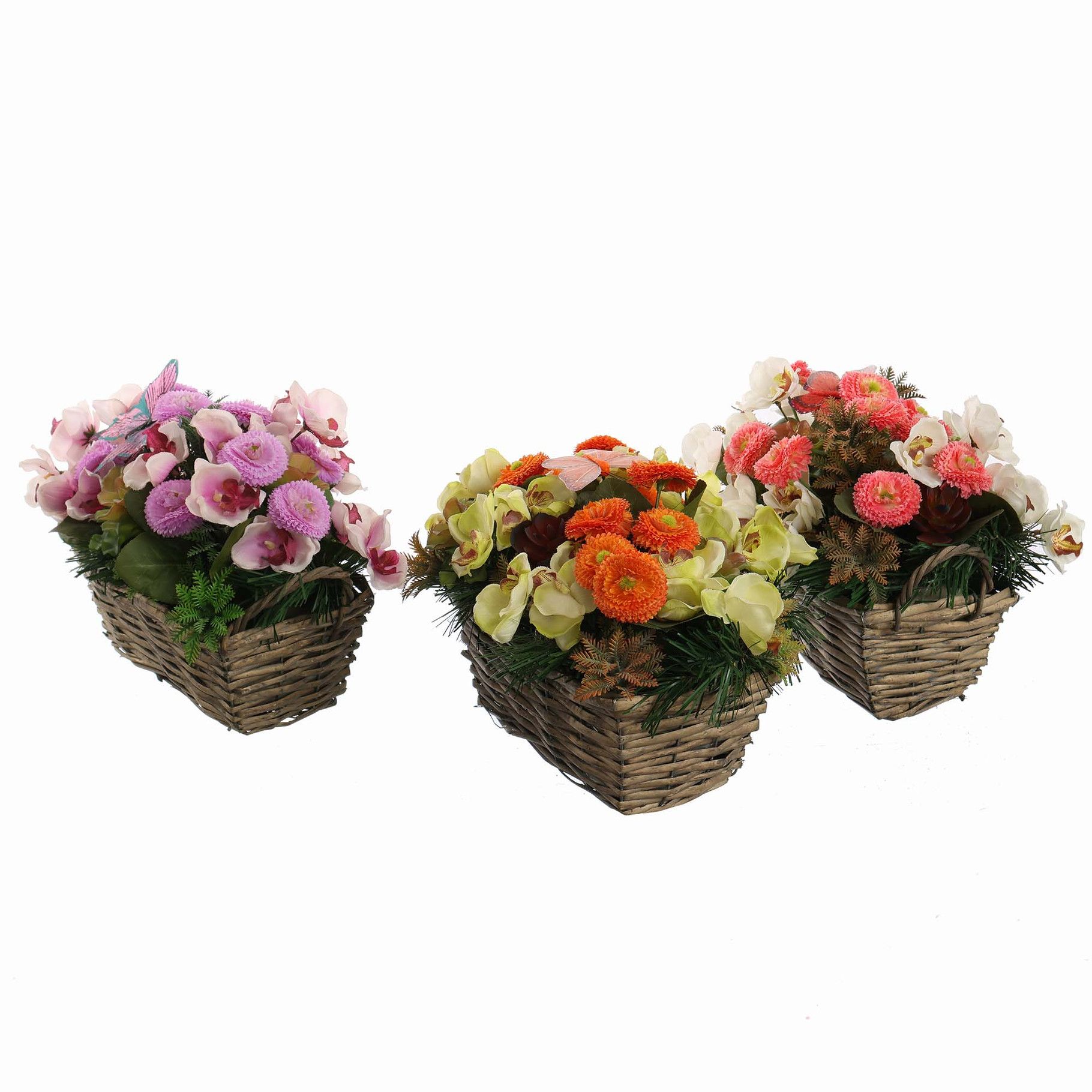 Orchidee en madeliefjes in mand